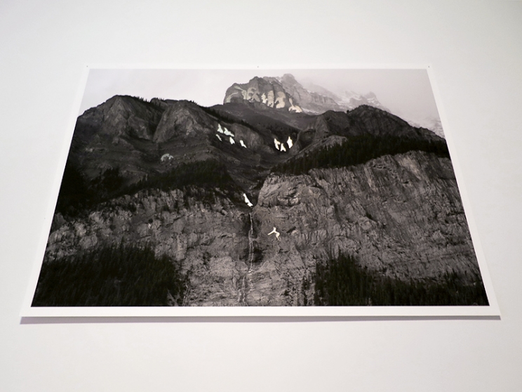 http://www.support.mirunadragan.com/files/gimgs/th-12_GGallery_Mountain_web.jpg