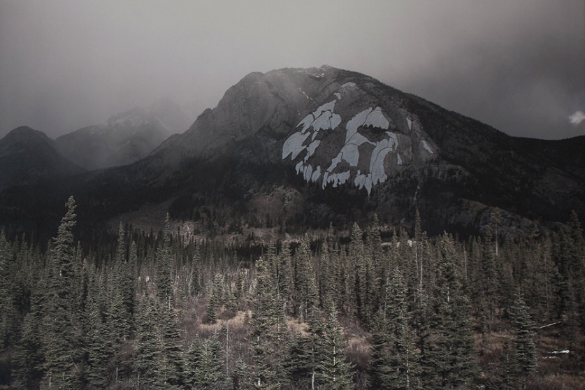 http://www.support.mirunadragan.com/files/gimgs/th-12_Dragan08_TheMountainsAreMirrors3-web.jpg