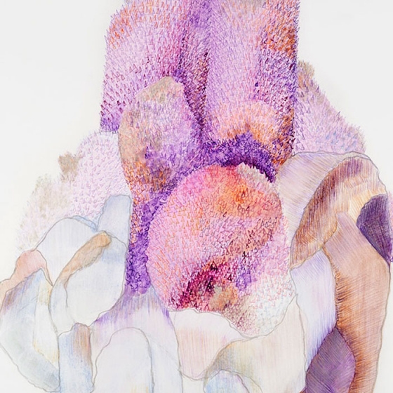 http://www.support.mirunadragan.com/files/gimgs/th-23_Erratics-Draw3-detail-web_v2.jpg