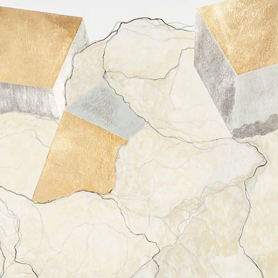 http://www.support.mirunadragan.com/files/gimgs/th-23_Erratics-Draw1-detail-web_v3.jpg