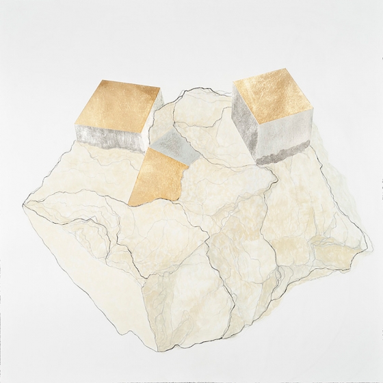 http://www.support.mirunadragan.com/files/gimgs/th-23_Erratics-Draw1-web_v3.jpg