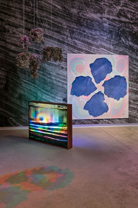 http://www.support.mirunadragan.com/files/gimgs/th-54_Untitled2_W.jpg
